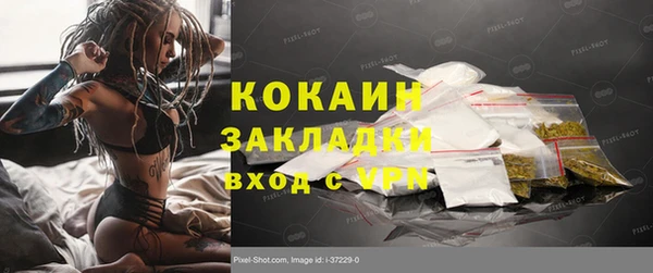 трава Верея