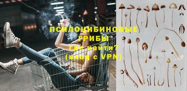 трава Верея