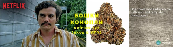трава Верея