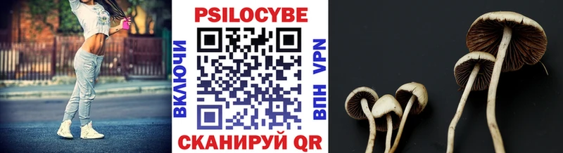 Галлюциногенные грибы Magic Shrooms Малоархангельск